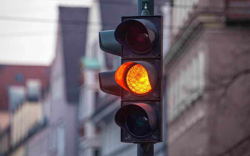 Die Palmen vom Winterquartier werden auf dem Gelände des Staatsbades in der Zimmermannstraße zu ihren Sommerstandorten transportiert.