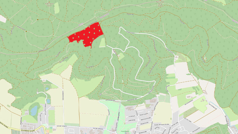 Überregionale Waldbrandübung in Bad Pyrmont