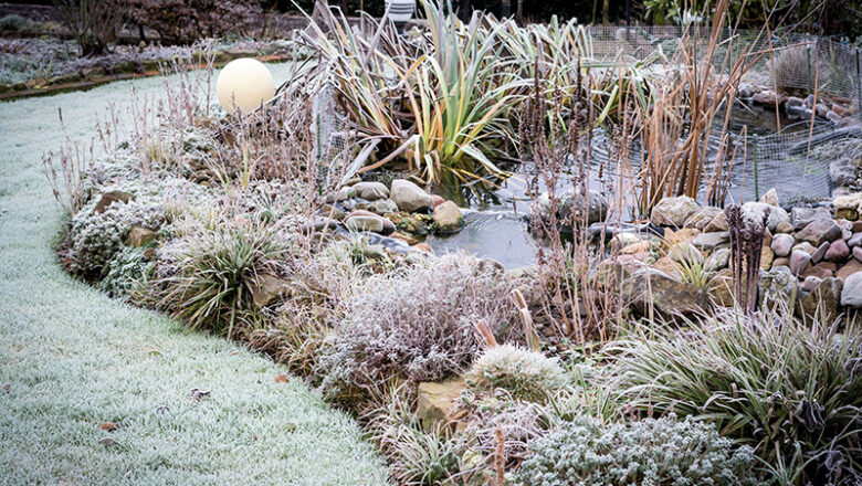 Den Gartenteich im Herbst winterfest machen