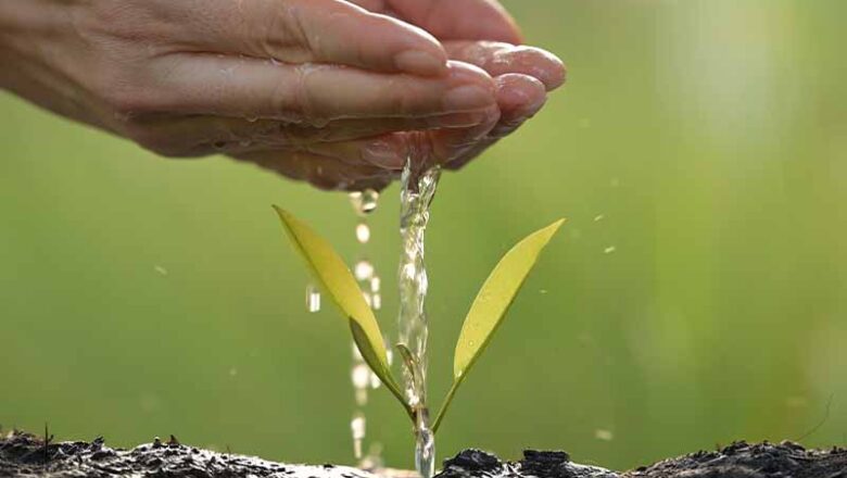 WasserVision – Wasser ist Leben