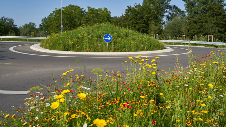 Kleiner Kreisel, große Wirkung