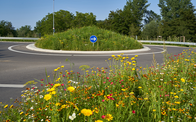 Die Stadt Hameln beginnt in den Sommerferien mit dem Umbau der Kreuzung Kaiserstraße/Lohstraße/Wittekindstraße. 