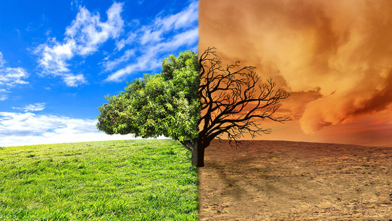 Aktion „Klimabäume“  in Rekordzeit beendet